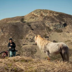 Santa Cruz Bronson 4 C MX XT Gloss Moss Et Blue -Vélos Soldes 1280 6VPJsz5IKAO81Yec