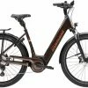 Diamant Mandara 160 Gen 3 TIE 545Wh Berninabraun Metallic Vélo Trekking électrique Col De Cygne -Vélos Soldes 5304751 Diamant Mandara 160 Gen 3 TIE 545Wh Berninabraun Metallic 2023 E Bike Trekkingrad Tiefeinsteiger 0 1280x1280