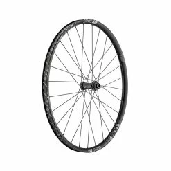 Dt-swiss M 1900 Spline DB 29 Pouces Roue Avant, 30mm Alu, Centerlock, 110/15mm Boost TA