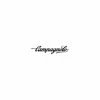 Campagnolo® Jante Campagnolo Shamal Ultra WH-003SHT Titanium - [16 T] -Vélos Soldes jante campagnolo shamal ultra wh 003sht titanium 16 t
